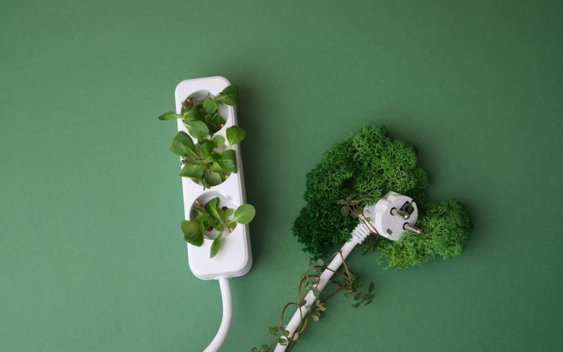 canva-green-energy-concept--MAFtquICHwc